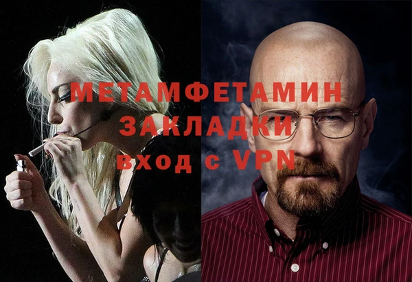 трава Белокуриха