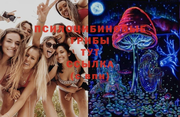 меф Елизово