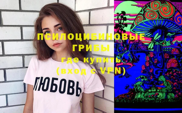 трава Белокуриха