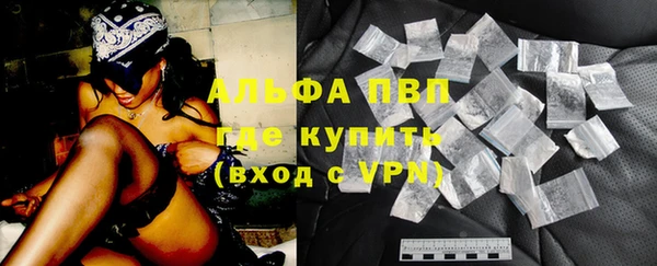 трава Белокуриха