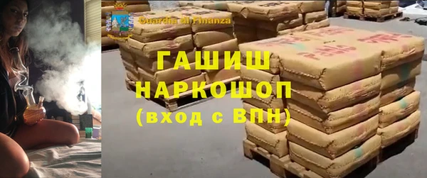 трава Белокуриха