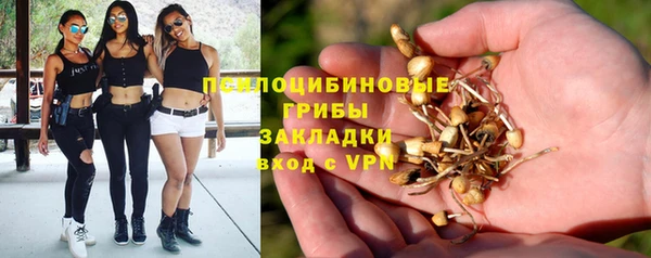 ALPHA-PVP Богородицк