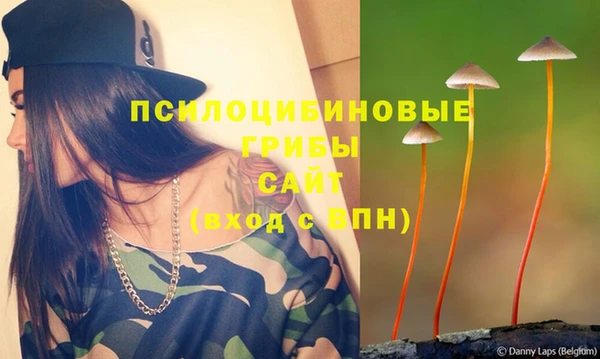 дурь Богданович
