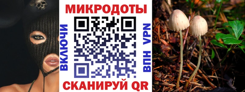 Галлюциногенные грибы ЛСД  Белокуриха 